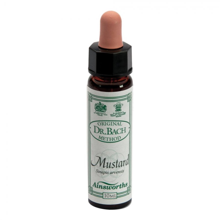 MUSTARD 10ML AINSWORTHS