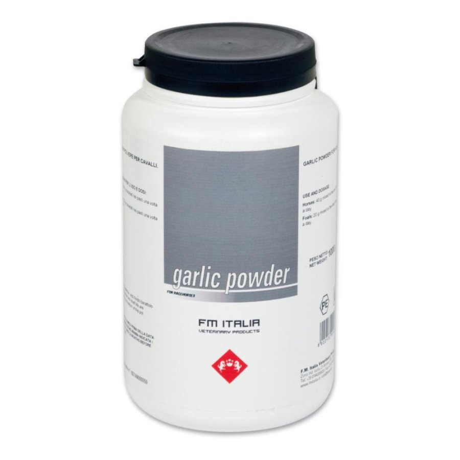 GARLIC POWDER EQUINI AGLIO POLVERE BARATTOLO 1000GR - FM ITALIA