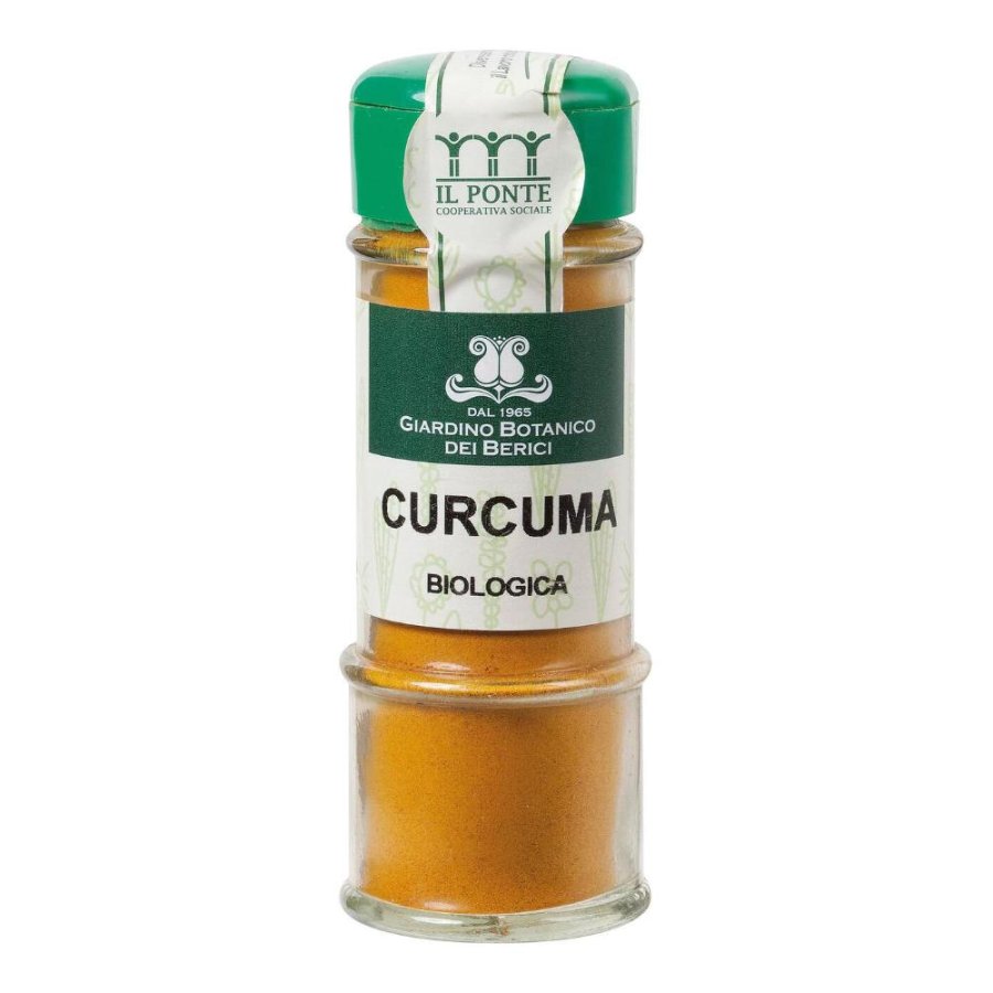 CURCUMA IN POLVERE 36G