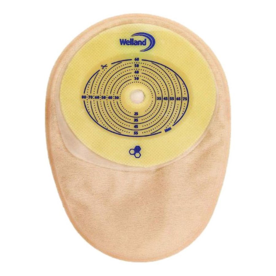 AURUM COLO TR RIT 13-60X80 30P