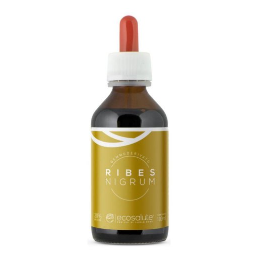 RIBES NIGRUM GEMMODERIV 100ML