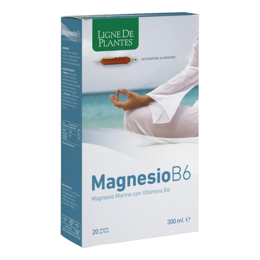 Magnesio B6 - 20 ampolle da 15 ml Magnesio B6 - 20 ampolle da 15 ml