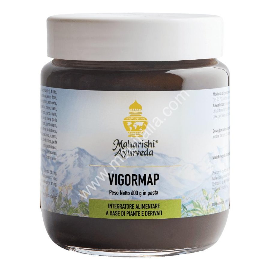 VIGORMAP Pasta 600g