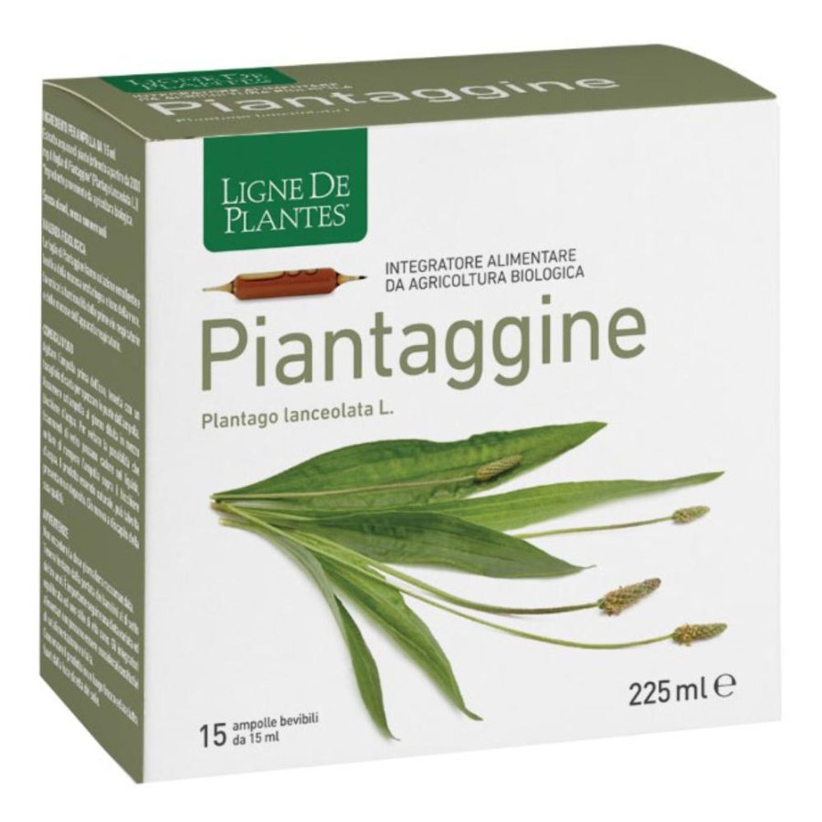 Piantaggine 15ampolle