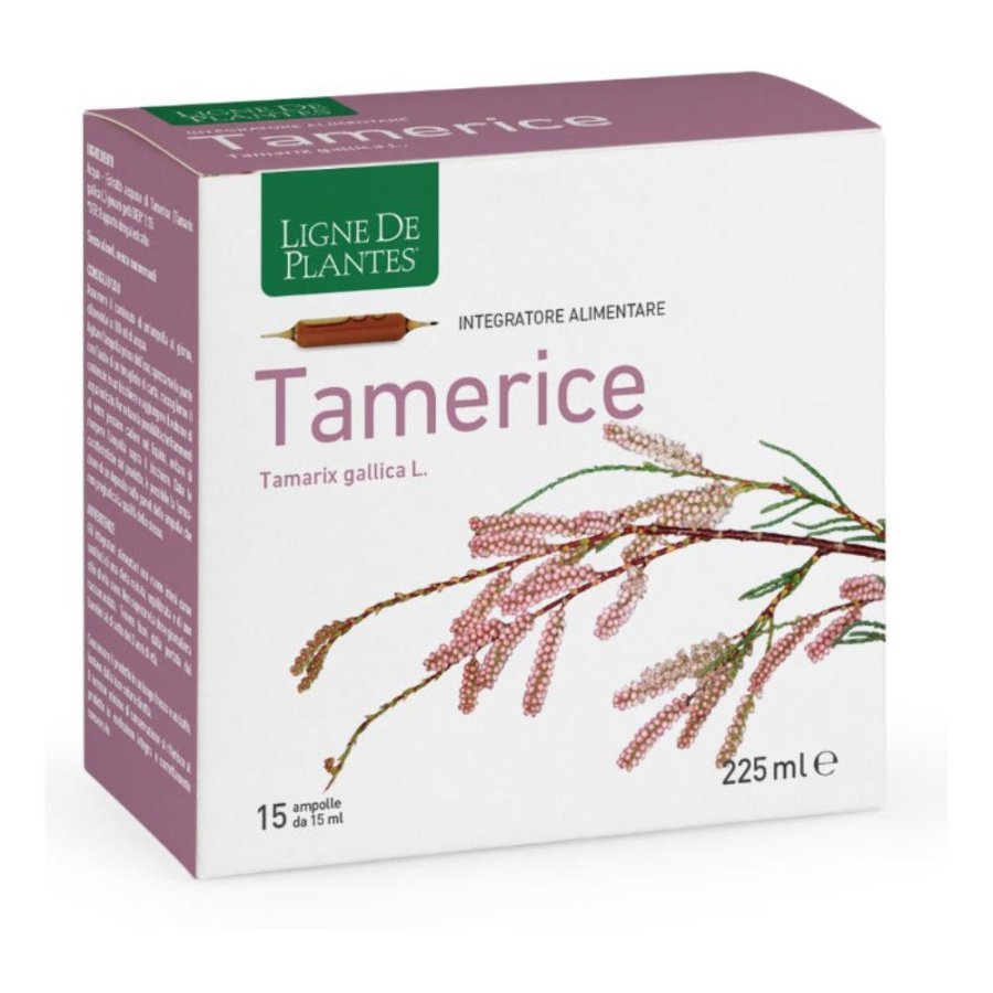 TAMERICE 15AMPOLLE