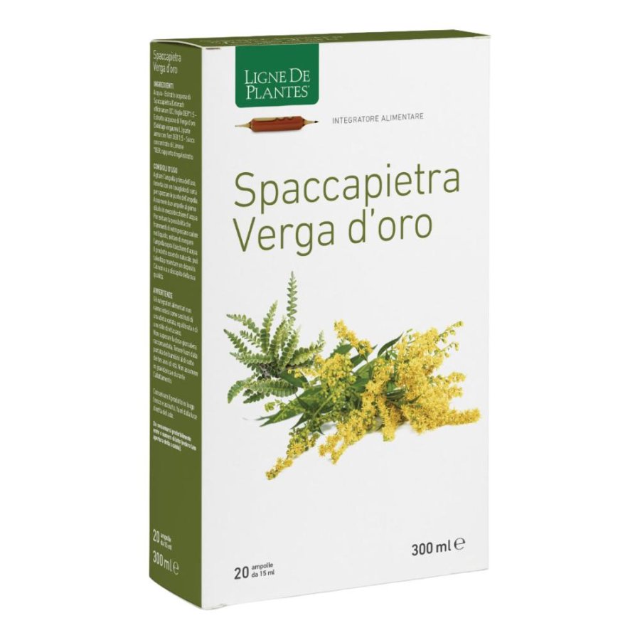 Ligne Spaccapietra Verga 20amp
