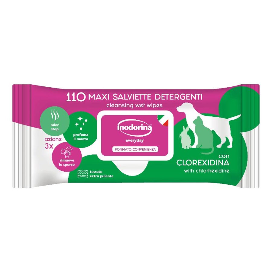 INODORINA REFRESH SALVIETTE CLOREXIDINA 110PZ
