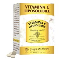 VITAMINA C LIPOSOLUBILE 360PAST NF VITAMINA C LIPOSOLUBILE 360PAST NF