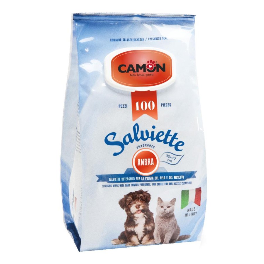 CAMON SALVIETTE DETERGENTI AMBRA 30x17CM 100PZ