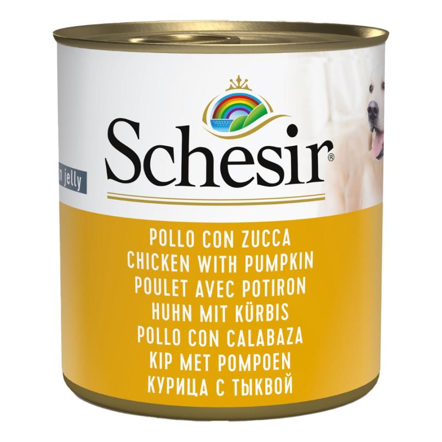 SCHESIR CANE JELLY POLLO ZUCCA 285GR (lattina)