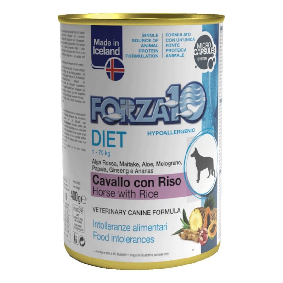 FORZA10 CANE DIET PATE' CAVALLO RISO 400GR (lattina)