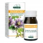 Passiflora Estratto Tit 60PAST - 4