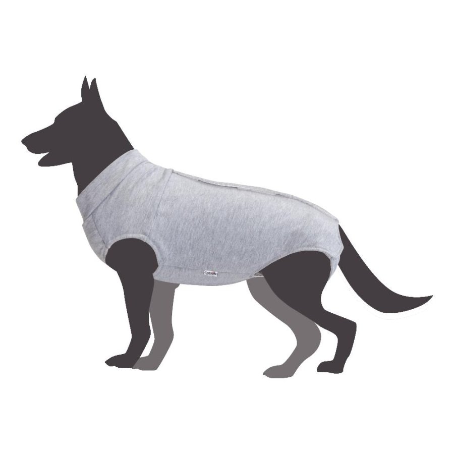 CAMON CANE TUTA POST OPERATORIA 36CM CAD.