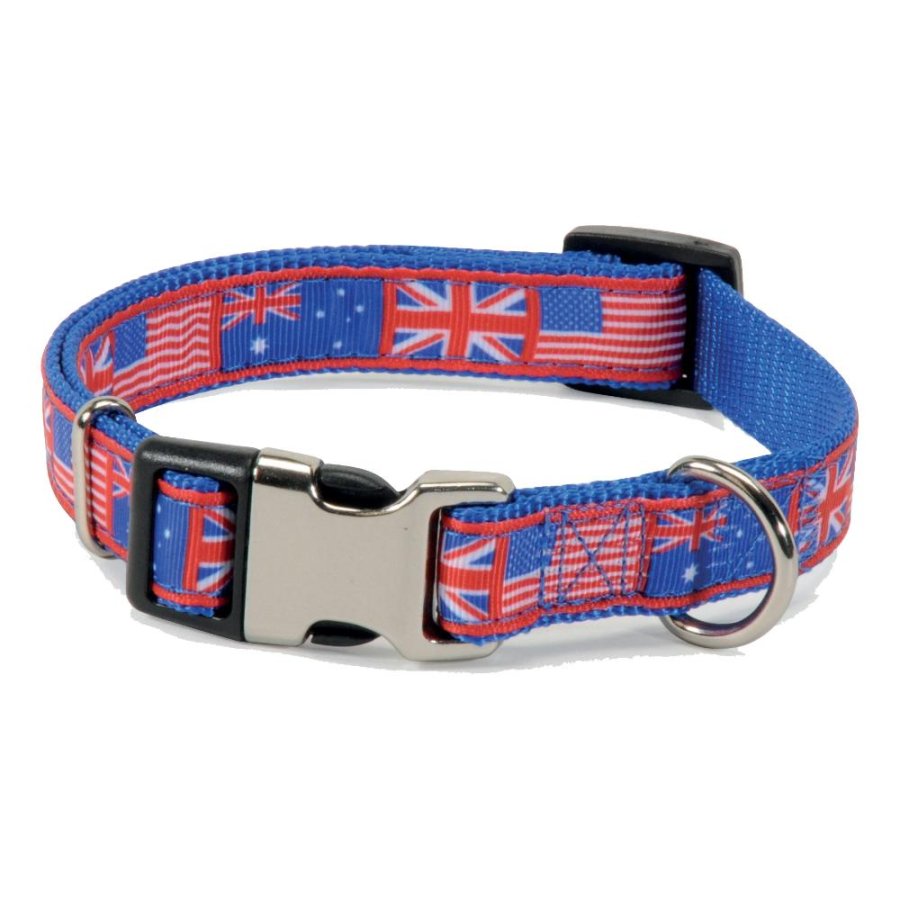 CAMON COLLARE FLAGS REGOLABILE FIBBIA BLU 1,5CM