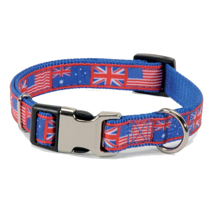 CAMON COLLARE FLAGS REGOLABILE FIBBIA BLU 2CM