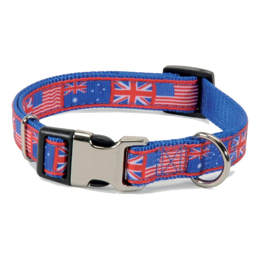 CAMON COLLARE FLAGS REGOLABILE FIBBIA BLU 2,5CM