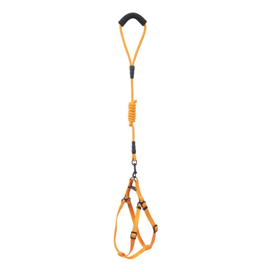 CAMON PARURE PETTORINA GUINZAGLIO NYLON REFLEX 0,8x120CM CAD.
