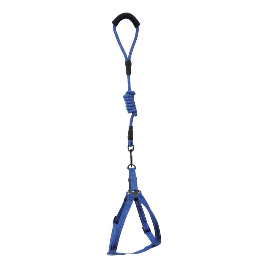 CAMON PARURE PETTORINA GUINZAGLIO NYLON REFLEX 1x120CM CAD.