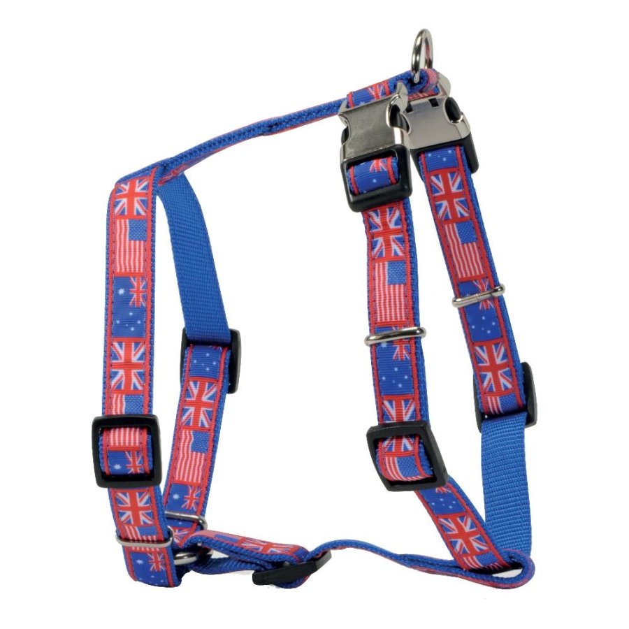 CAMON PETTORINA FLAGS DOPPIA FIBBIA BLU 1,5CM