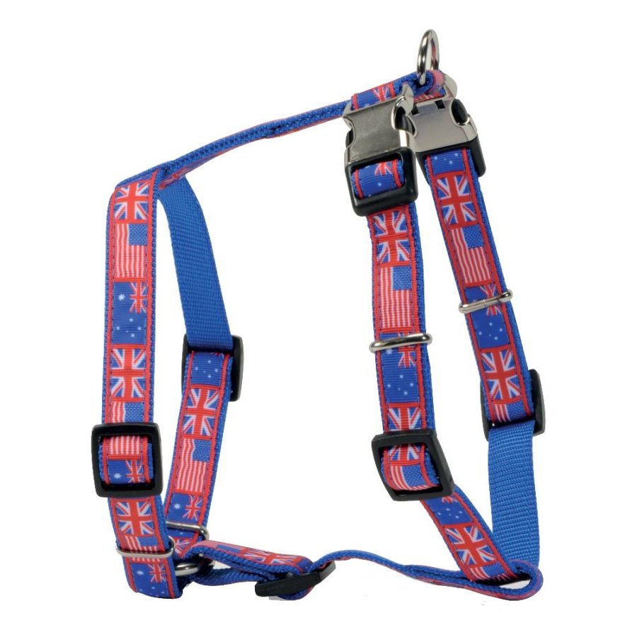 CAMON PETTORINA FLAGS DOPPIA FIBBIA BLU 2,5CM