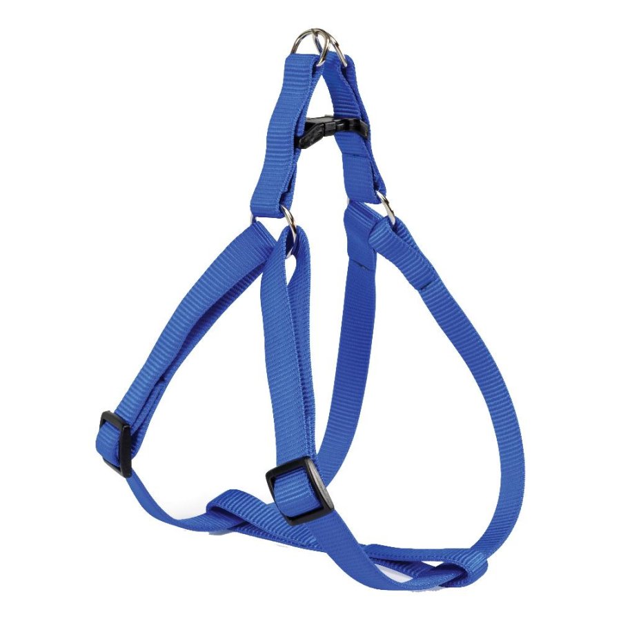 CAMON PETTORINA NYLON FLASH BLU (S) 1,5CM