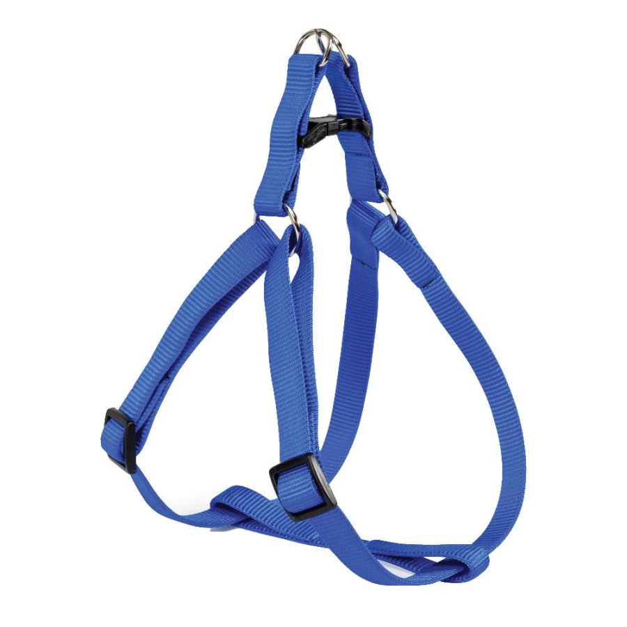 CAMON PETTORINA NYLON FLASH BLU (M) 1,8CM
