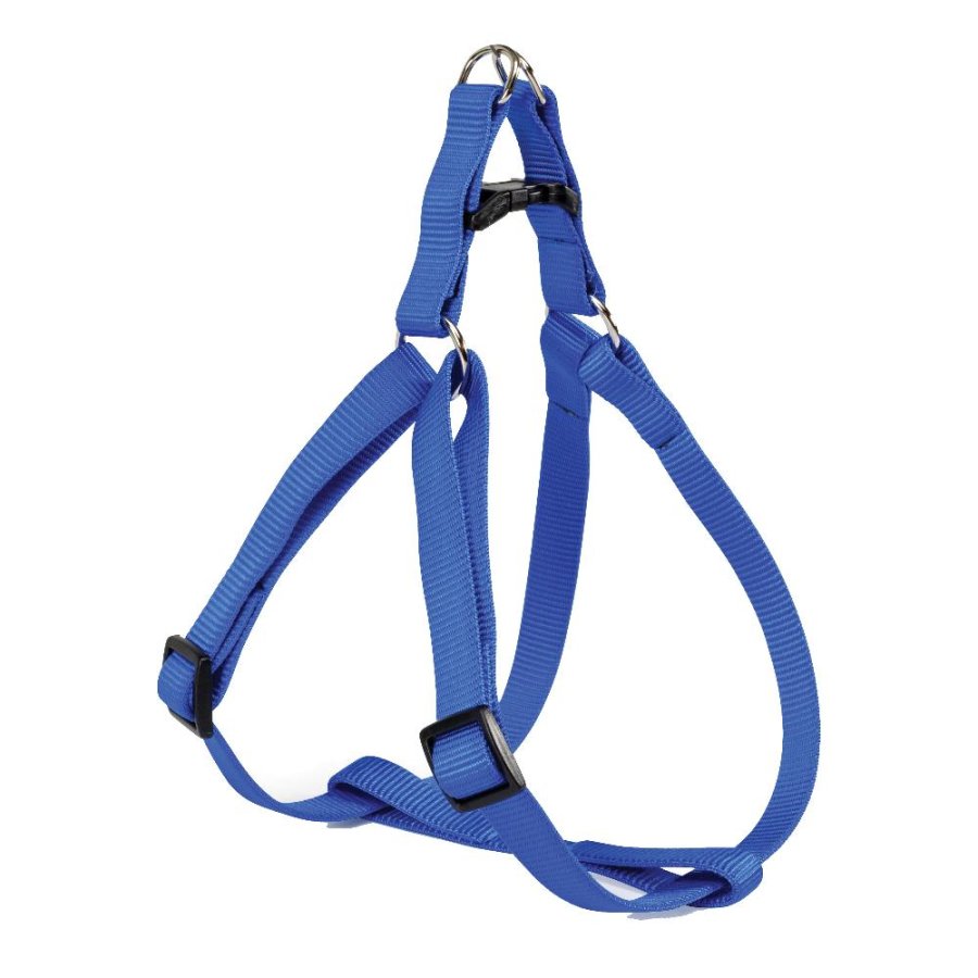 CAMON PETTORINA NYLON FLASH BLU (XL) 2,5CM
