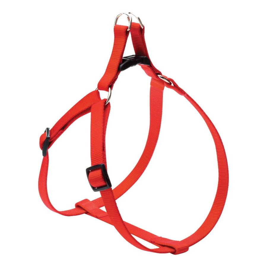 CAMON PETTORINA NYLON FLASH ROSSO (XL) 2,5CM