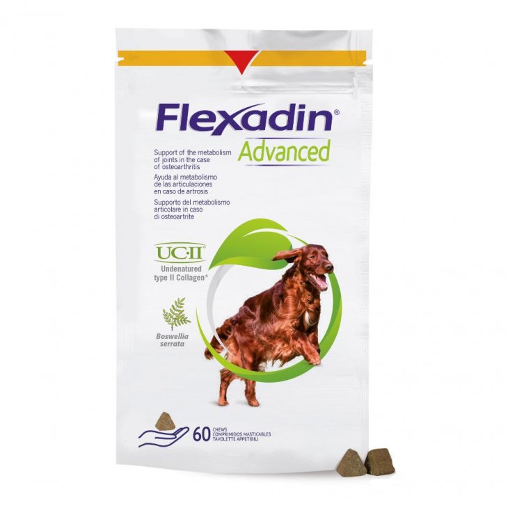 Flexadin Advanced Mangime Complementare Articolazioni Cani Adulti 60 Tavolette - Sostegno Articolare di Qualità per Cani