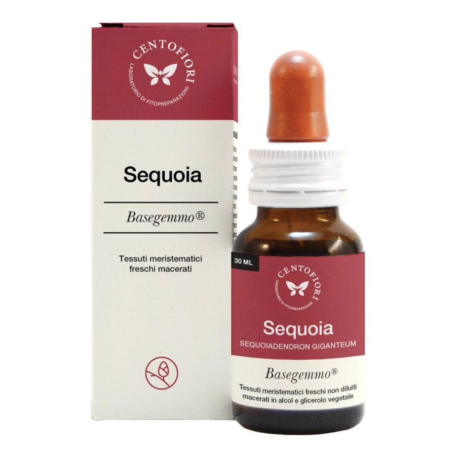 SEQUOIA BASEGEMMO 30ML