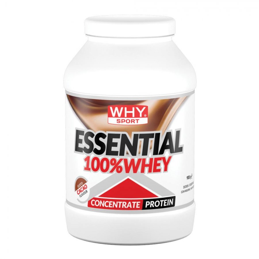 WHYSPORT ESS 100% WHEY CACAO