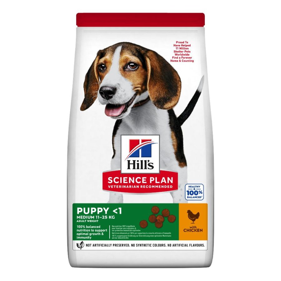 HILL'S CANE SCIENCE MEDIUM PUPPY POLLO 800GR