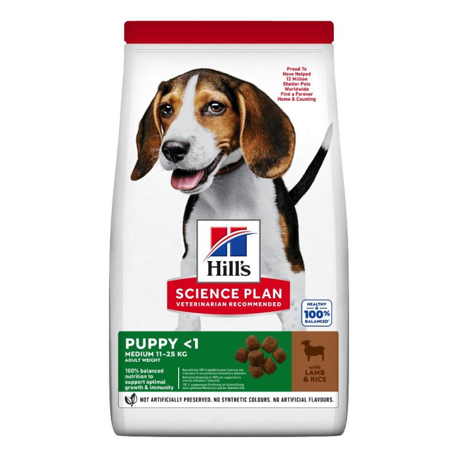 HILL'S CANE SCIENCE MEDIUM PUPPY AGNELLO 800GR