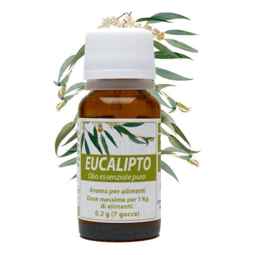 EUCALIPTO OE PURO 10ML