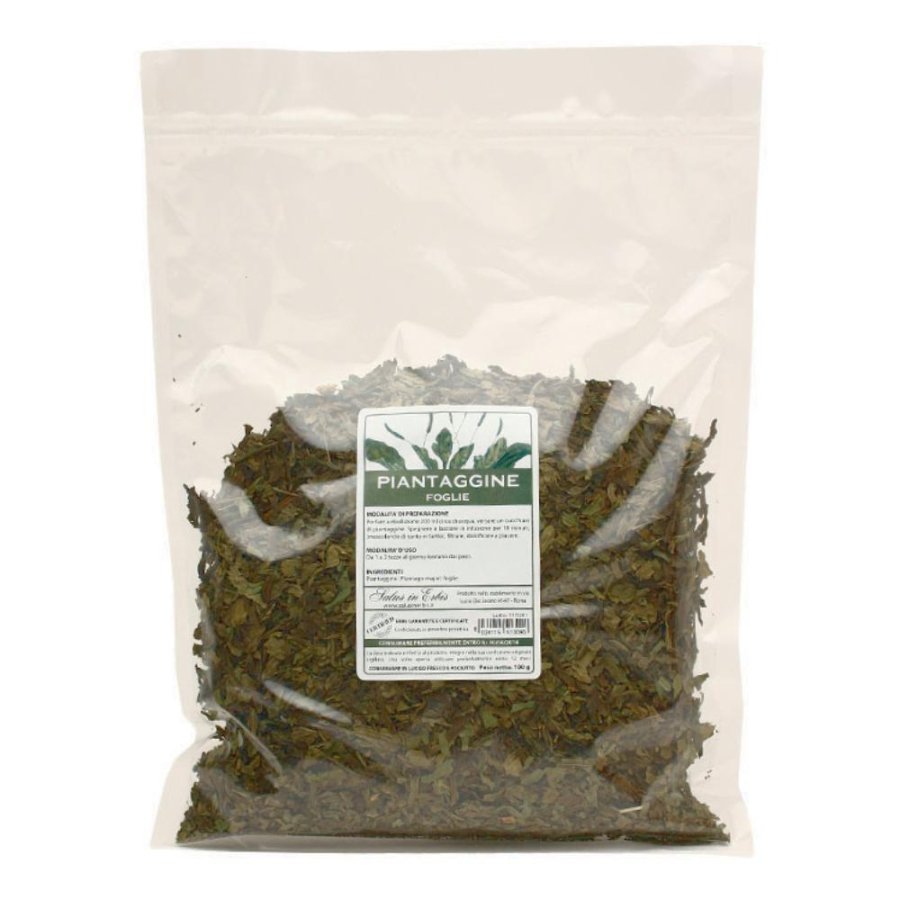 PIANTAGGINE FOGLIE TT 100G
