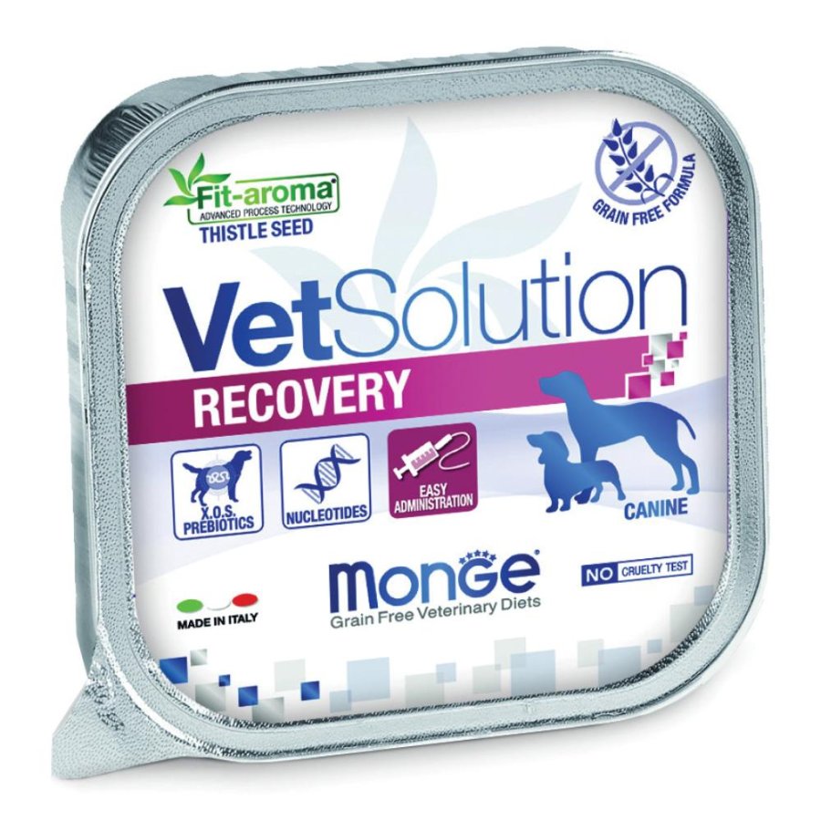 MONGE CANE VETSOLUT RECOVERY 150G