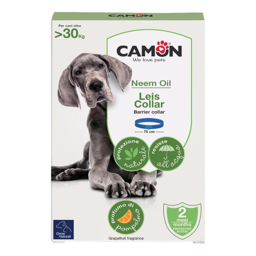 CAMON PROTECTION CANE 1 COLLARE BARRIERA LEIS 75CM