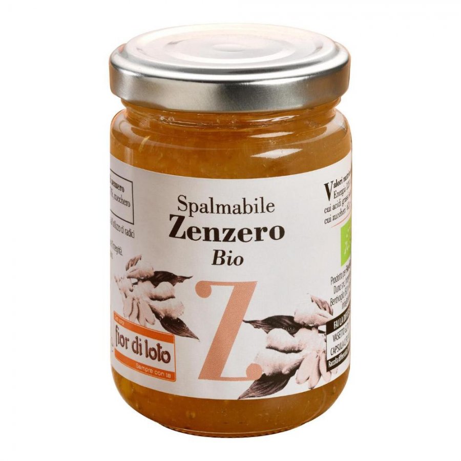 ZENZERO SPALMABILE 750G