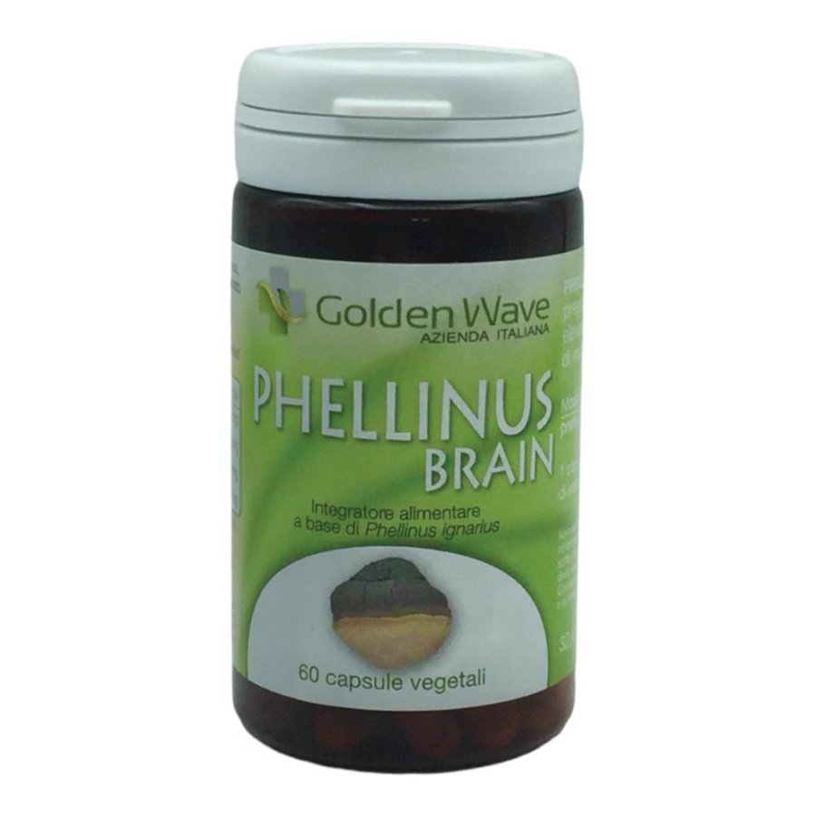 PHELLINUS BRAIN 60CPS VEGETALI