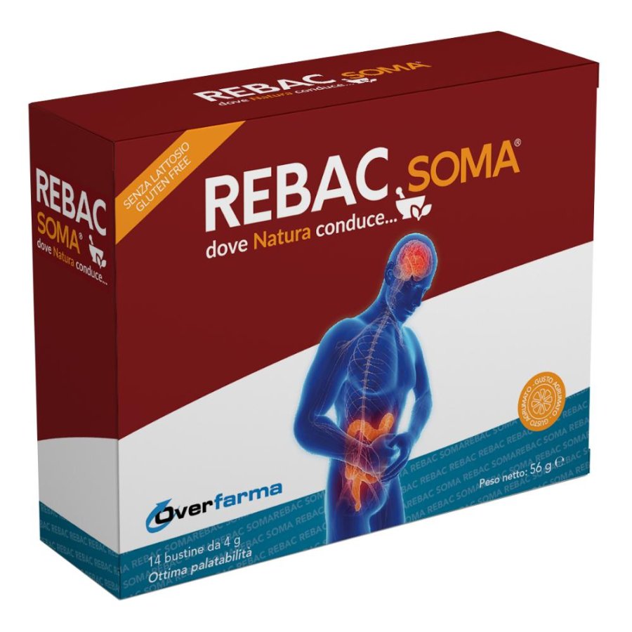 REBAC SOMA 14 Bust.