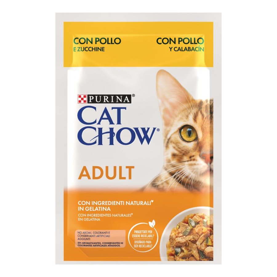 NESTLE' PURINA CAT CHOW GATTO JELLY POLLO ZUCCHINE 85GR (bustina)