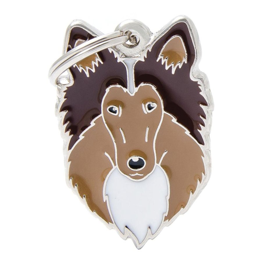 MY FAMILY MEDAGLIETTA COLLIE (REF. MF46)