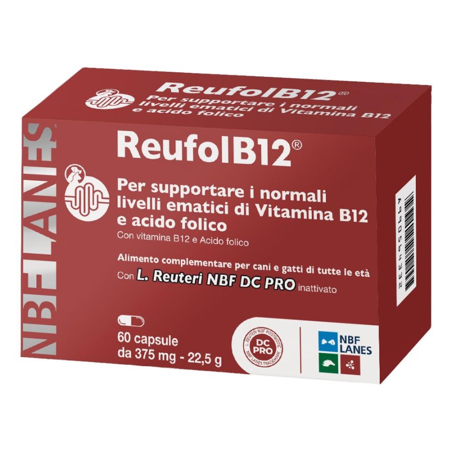 ReufolB12, 60 Capsule ReufolB12, 60 Capsule
