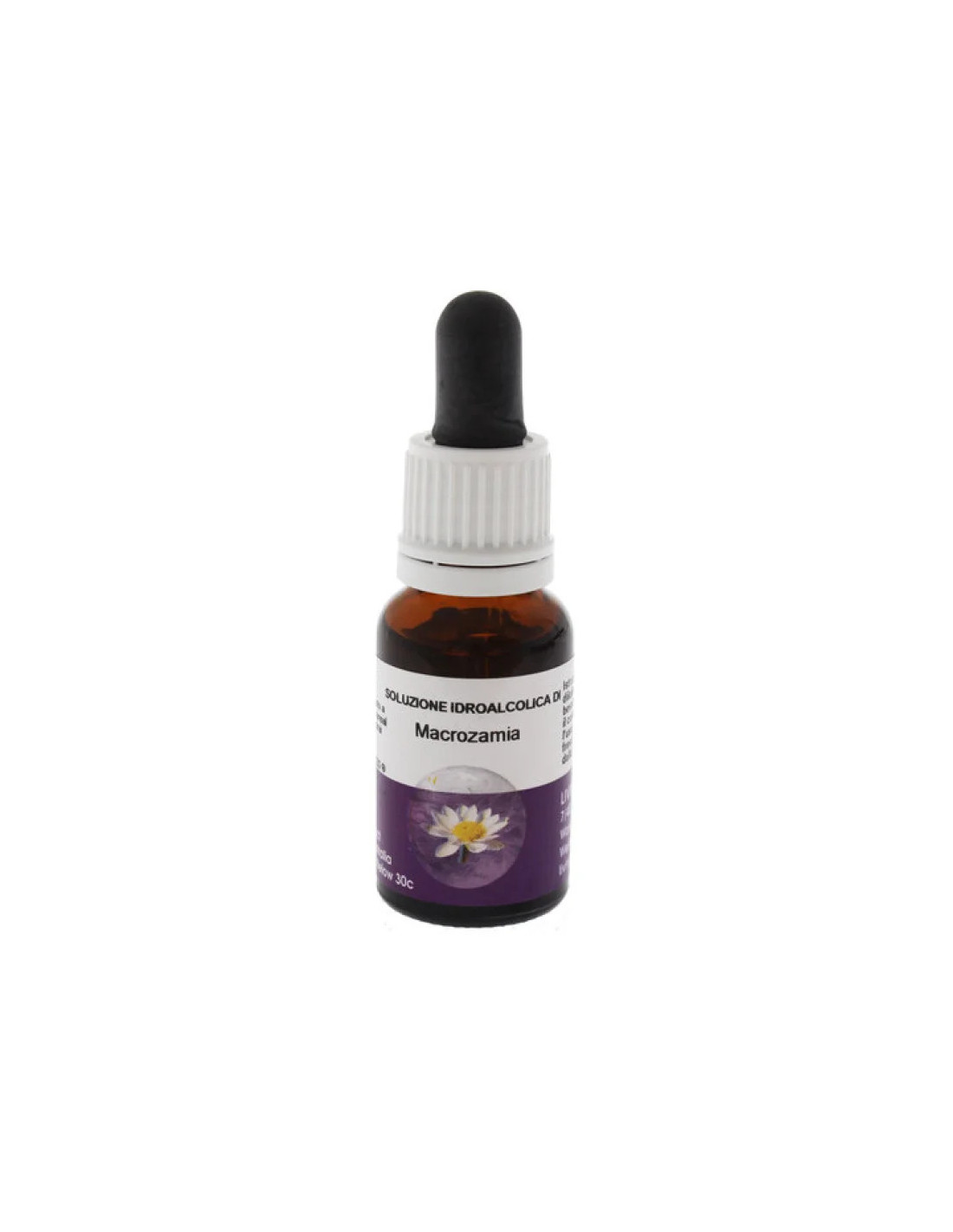 Macrozamia Ess 15ML Aust-image