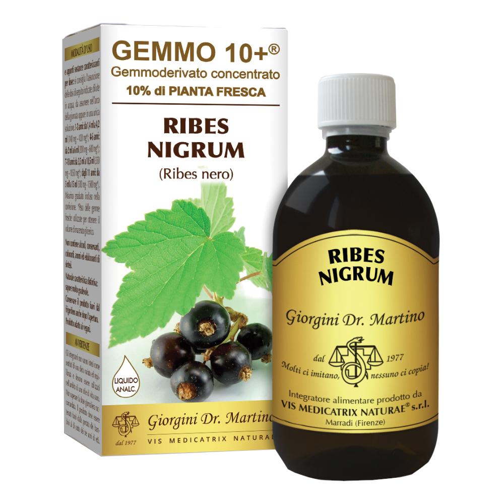 Dr Giorgini RIBES NERO (Ribes nigrum) Gemmoderivato Concentrato Liquido Analcoolico - 500 Millilitri-image