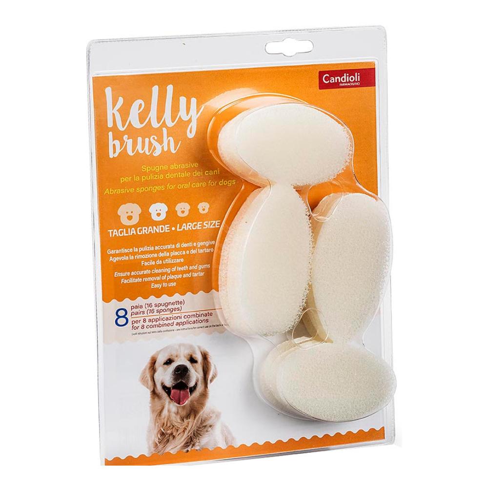 KELLY BRUSH CANE SPUGNETTA ABRASIVA GRANDE 16PZ - CANDIOLI
